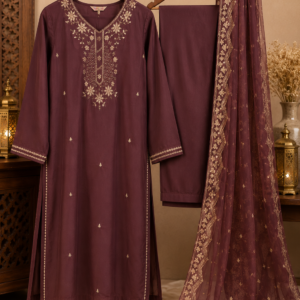 plum embroidered salwar kameez with dupatta in elegant indoor setting